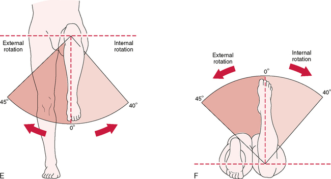 Hip Rotation